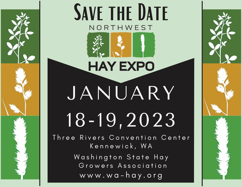 Hay Kings: Hay Expo