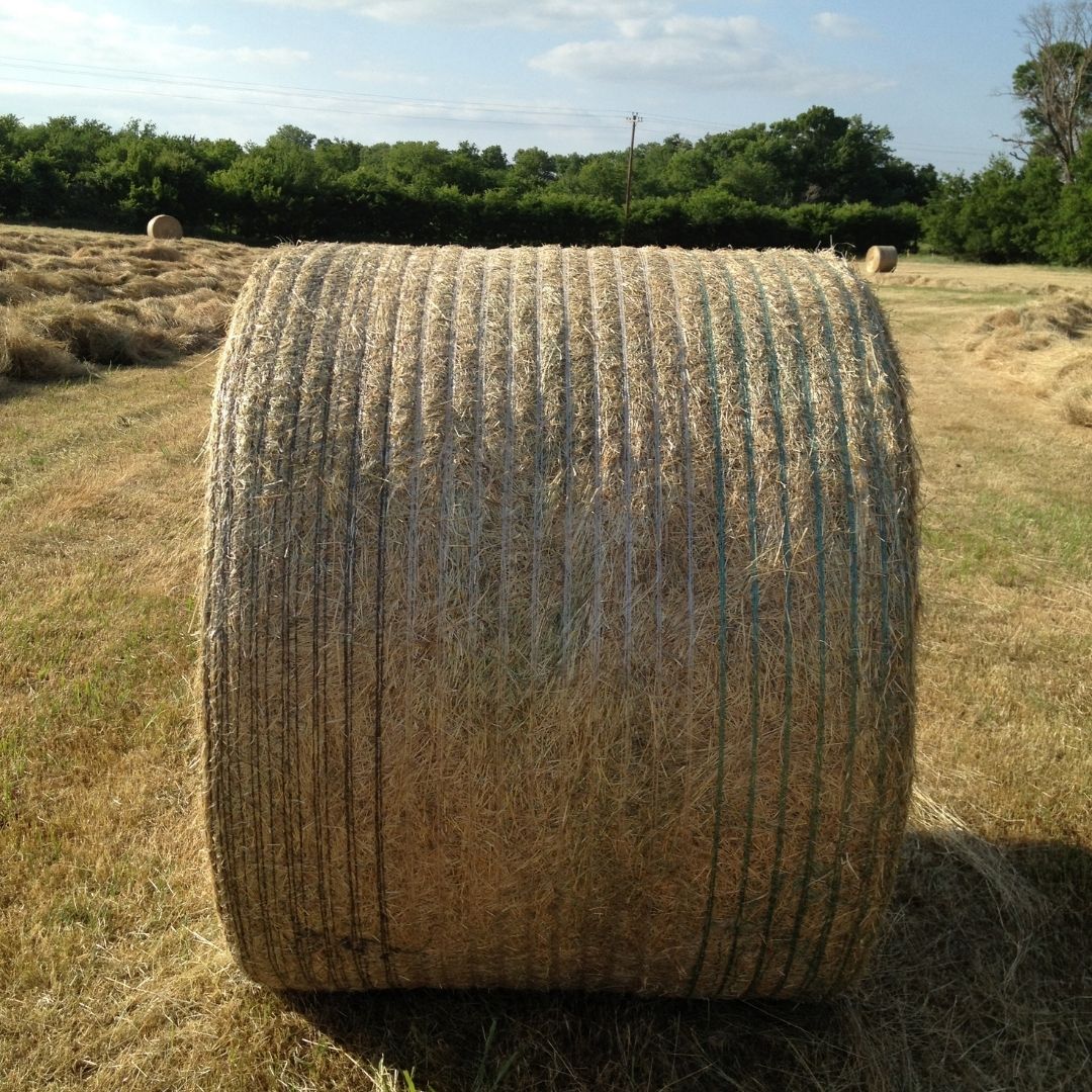 Hay Kings Podcast: Things I Wish I Knew Starting A Custom Hay Operation (S4:E10)