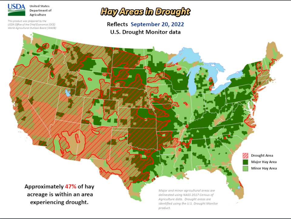Hay Kings Weekly Newsletter - Mississippi River Shipping - Hay and Drought