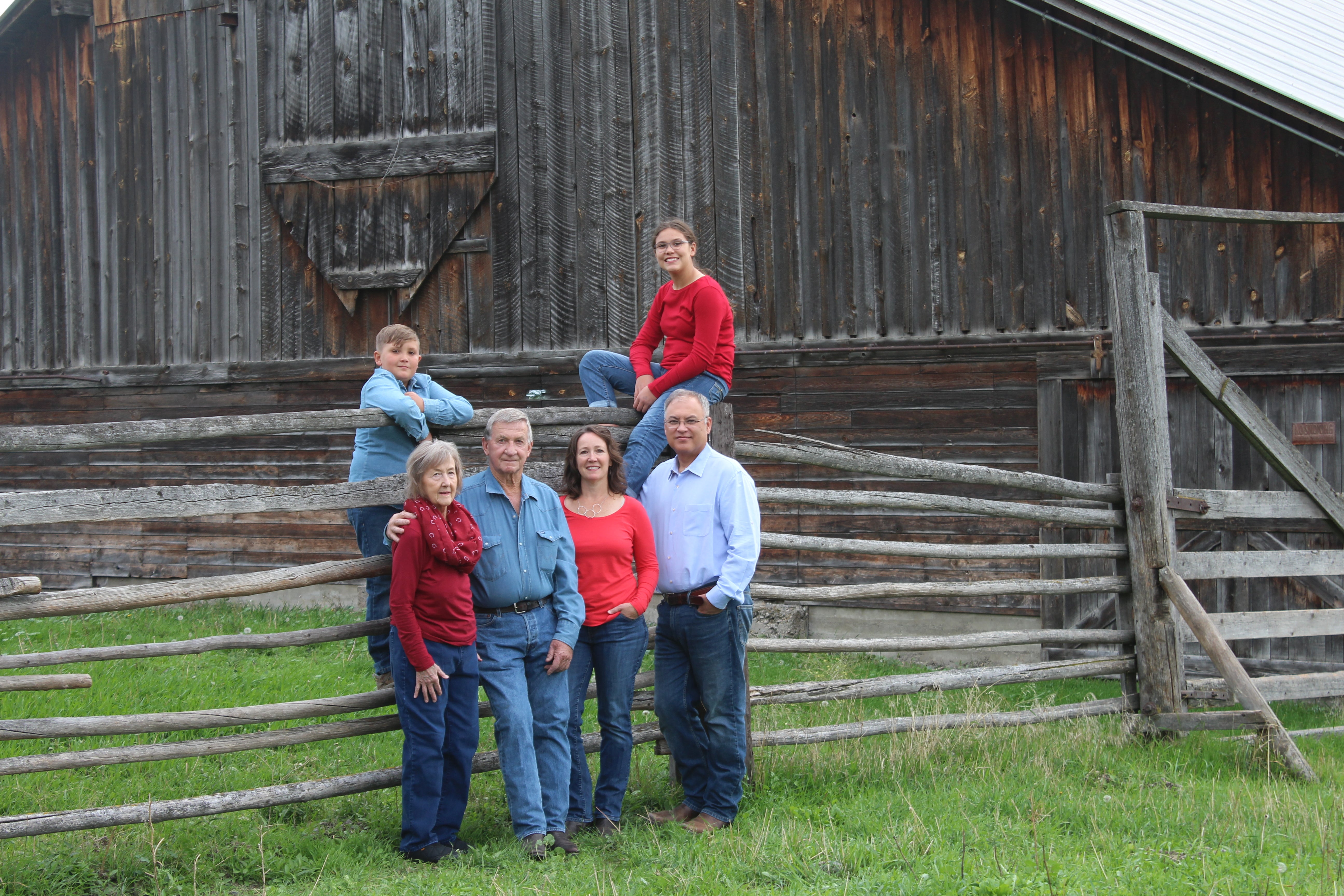 Hay Kings: Bale Skiis