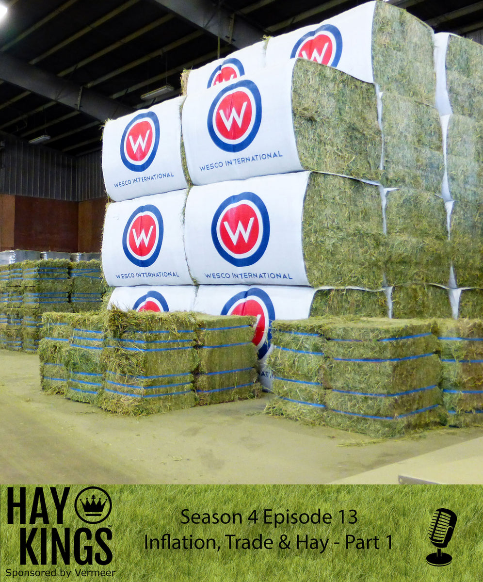 Hay Kings Podcast Inflation, Trade and Hay Part 1 (S4E13)