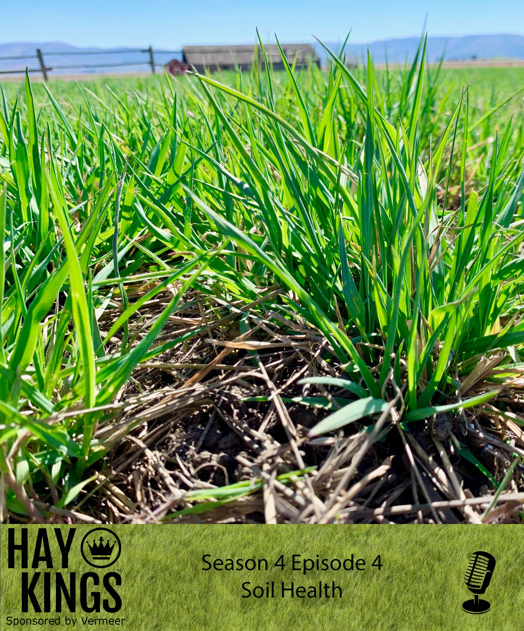 Hay Kings Podcast: Soil Health (S4:E4)