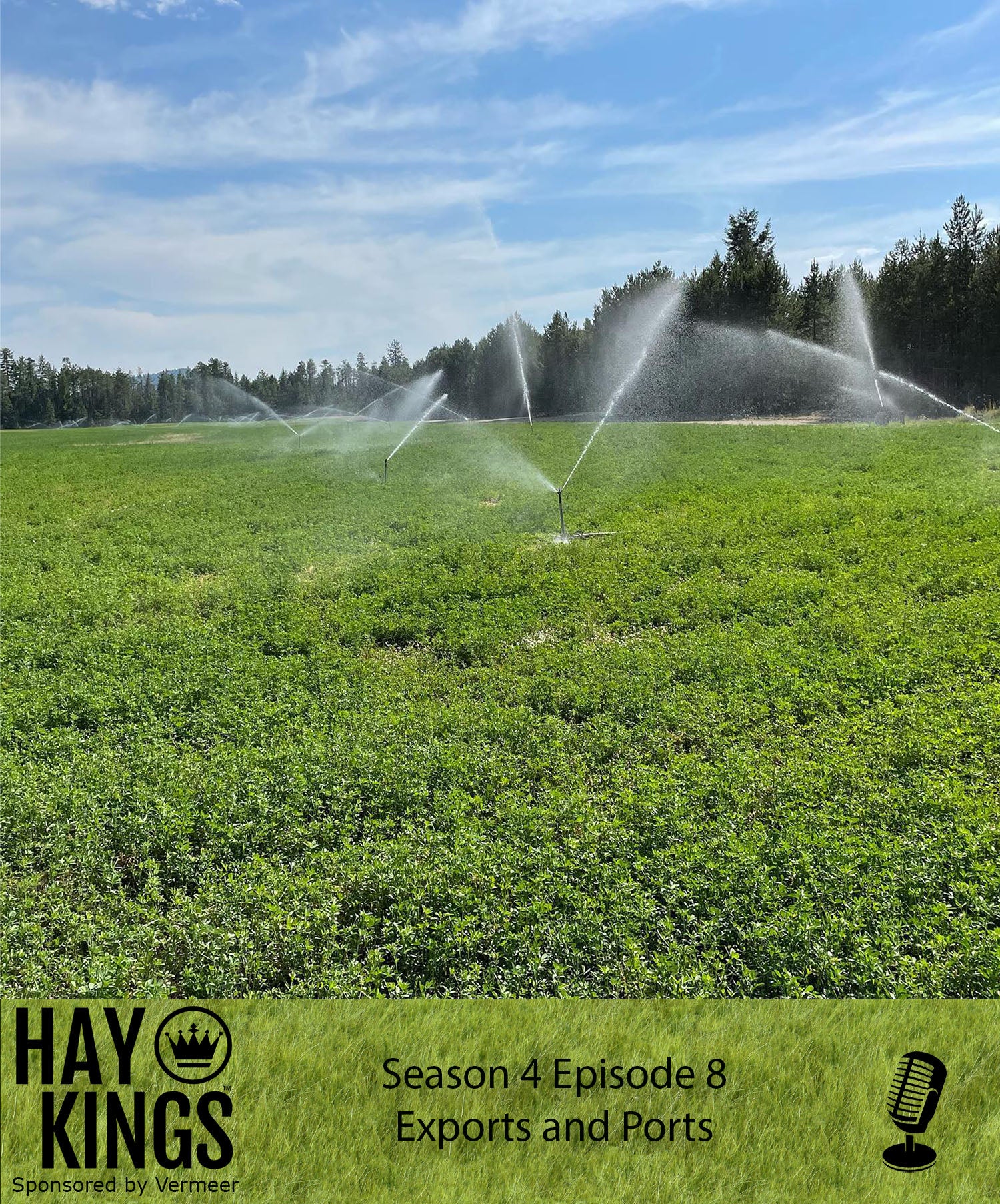 Hay Kings Podcast: Exports and Ports (S4: E8)