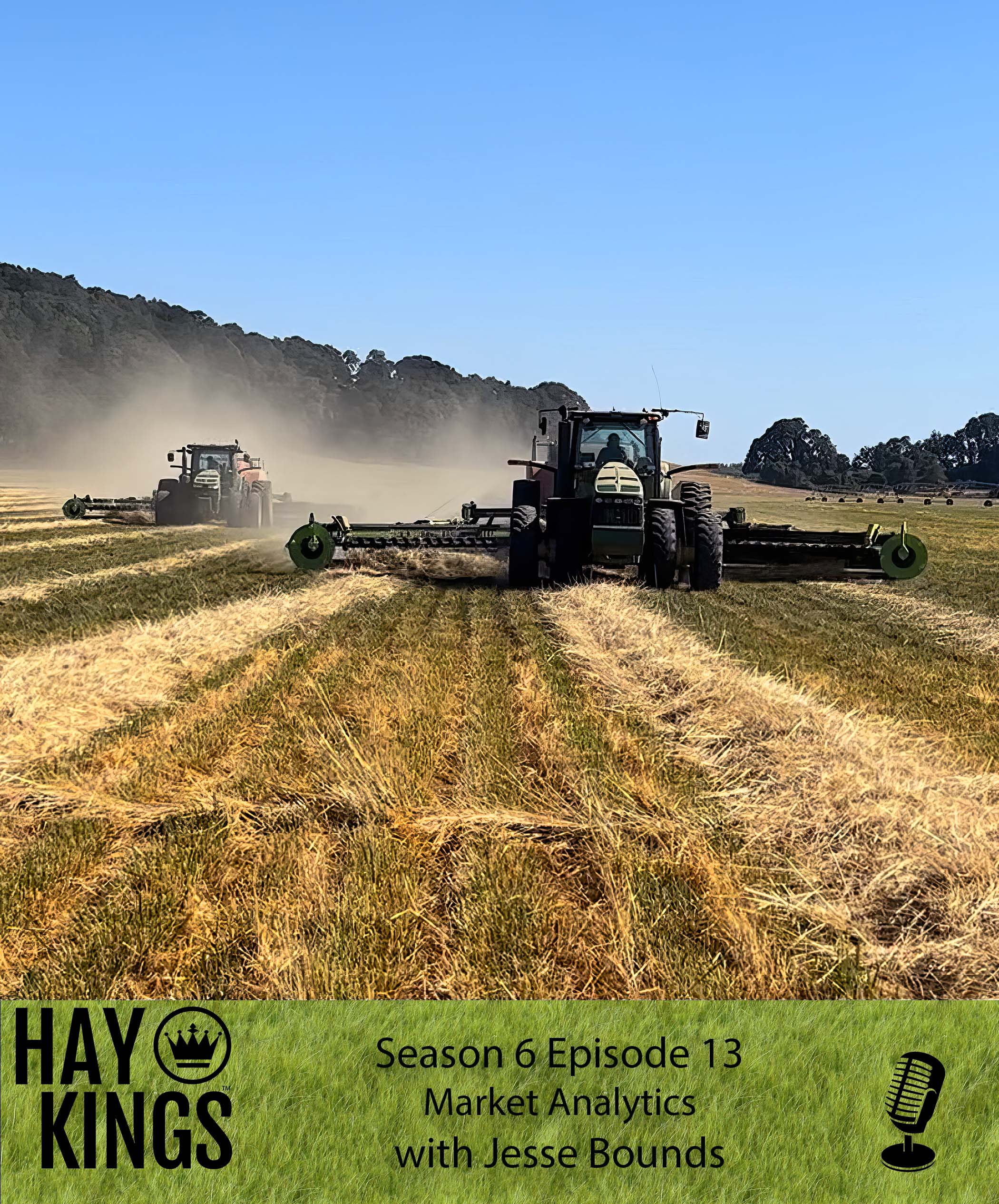 Hay Kings Podcast: Market Analytics (S6:E13)
