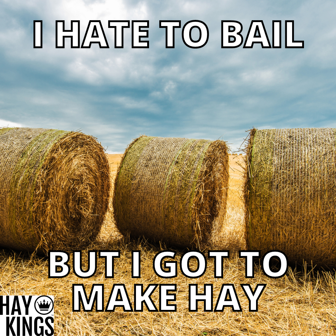 Top Herbicides Approved for Grass Hay – Hay Kings
