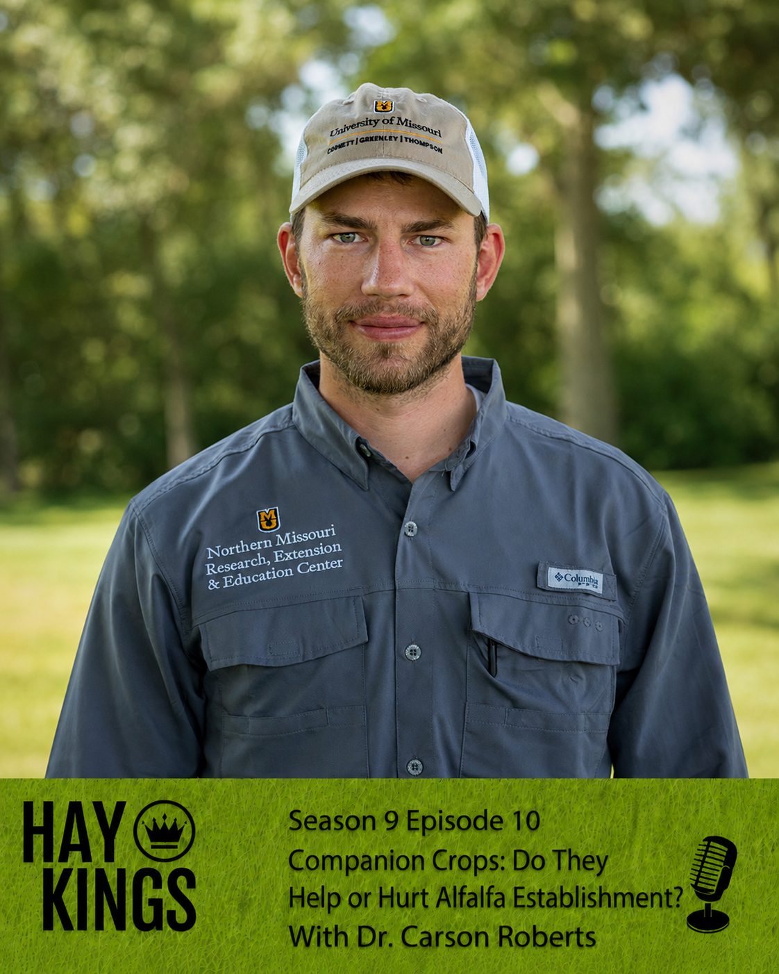 Companion Crops and New Alfalfa: When More First-Year Hay Costs You the Stand