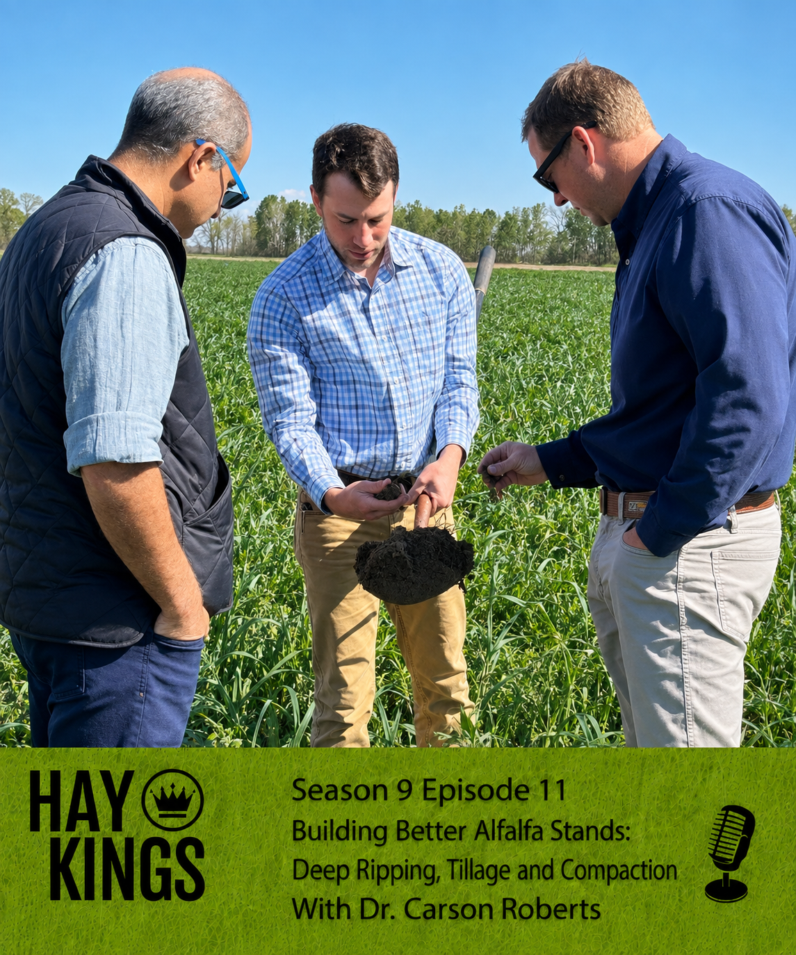 Hay Kings: Building Better Alfalfa Stands Deep Ripping, Tillage, and Compaction