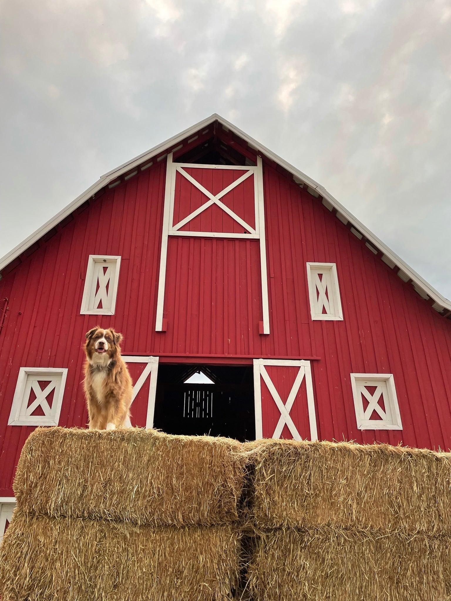 Quiet Quitting: This Is Not Big Farms Eating Small Farms