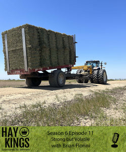 Hay Kings Podcast: Strong but Volatile (S6:E11)