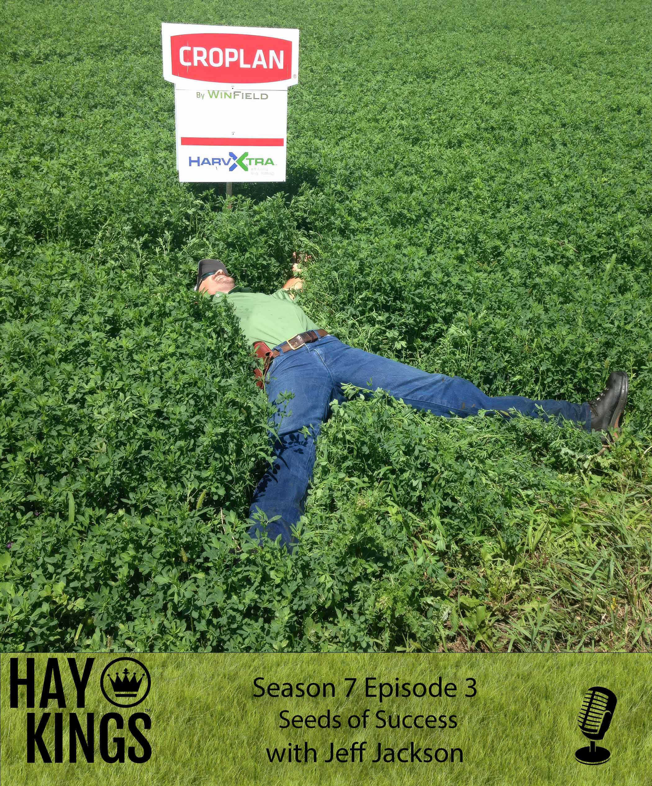 Hay Kings Podcast: Seeds of Success (S7:E3)