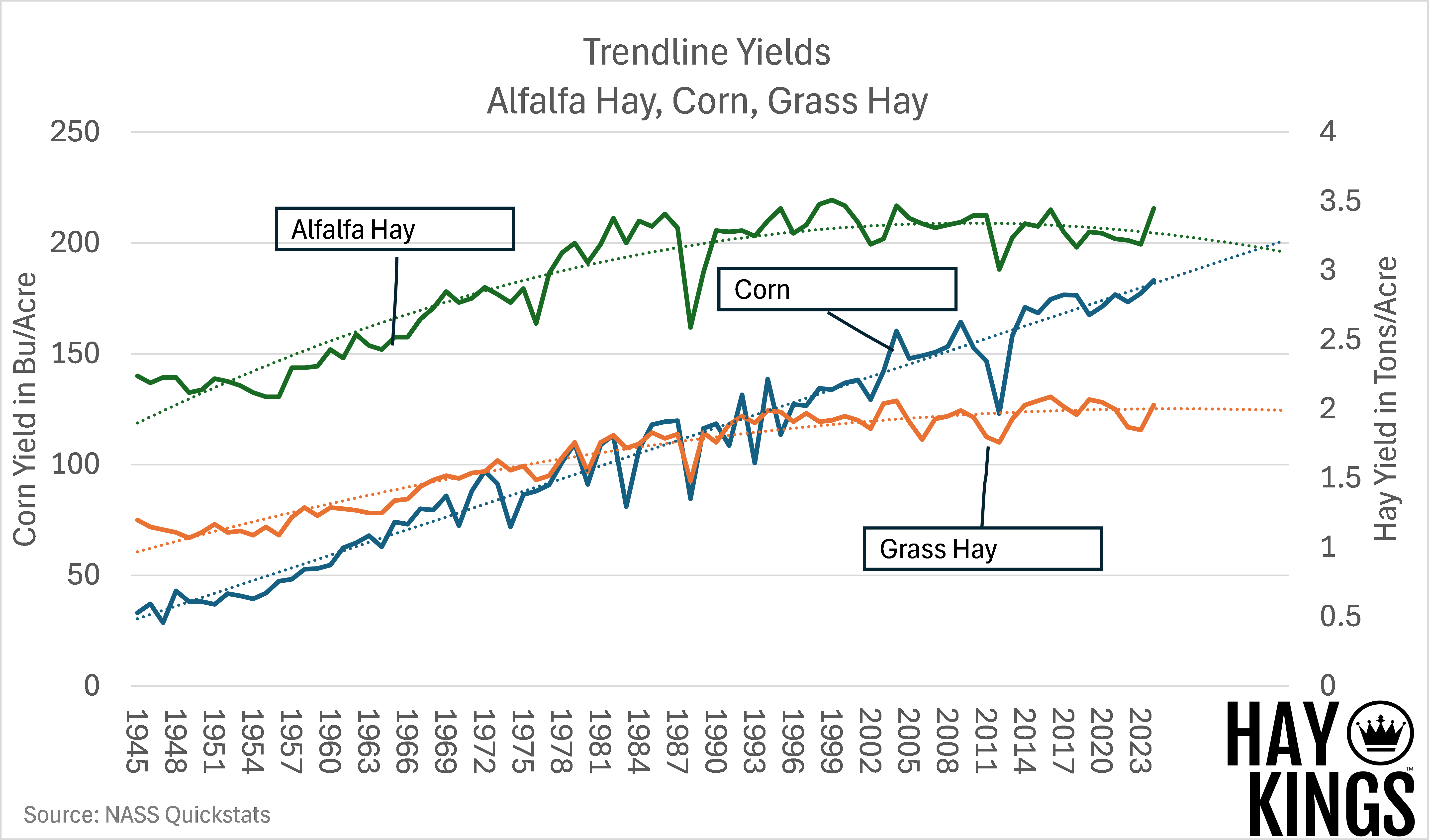 Revitalizing Alfalfa: Embracing Opportunities and Innovation in Hay Production